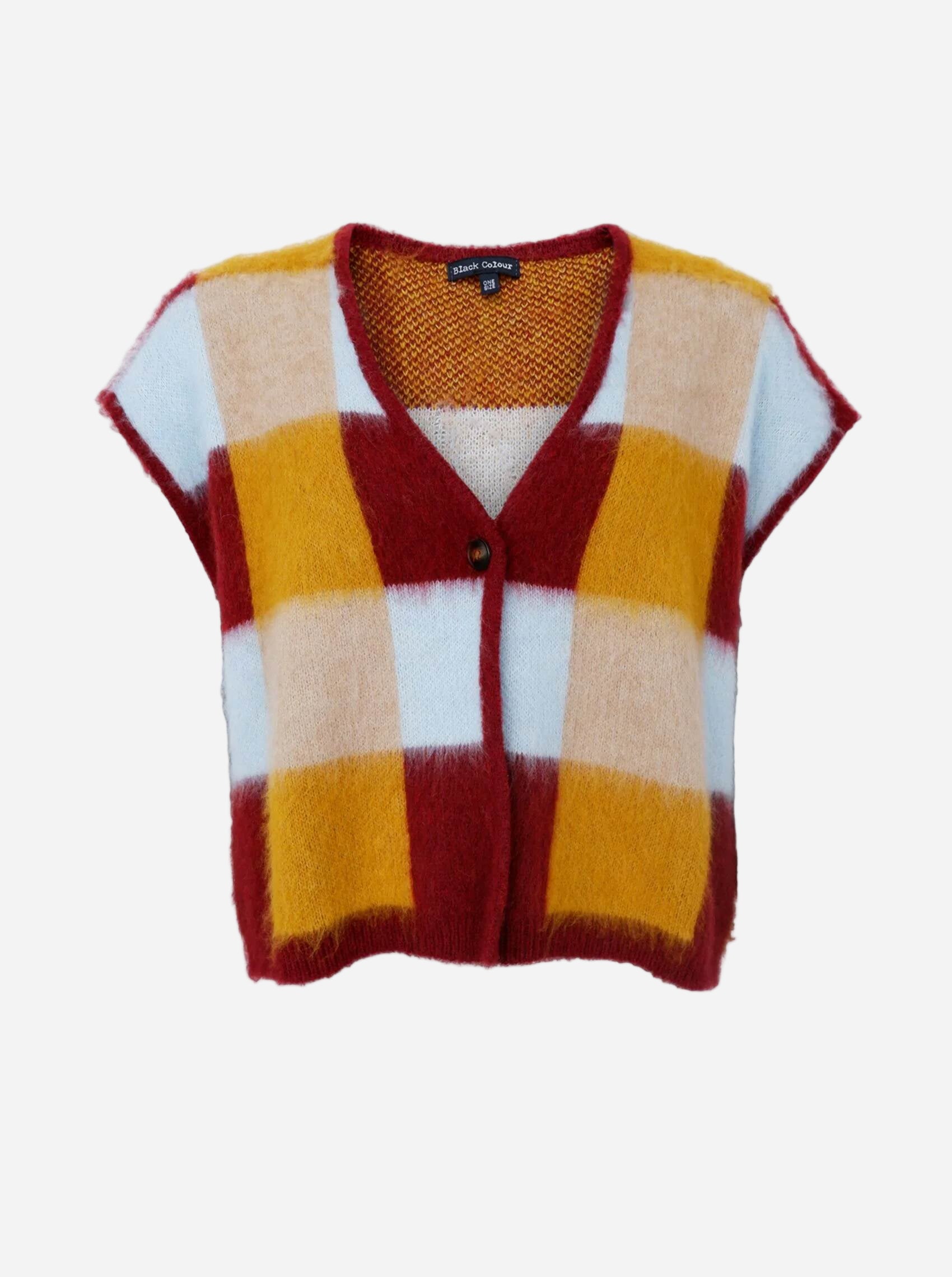 Colorful checkered vest on a white background