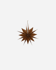 Star-shaped brown ornament on a white background