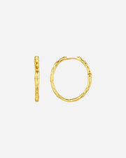 Gold hoop earrings on a white background