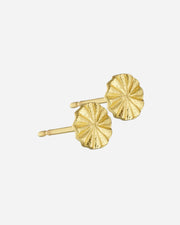 Pair of gold disc earrings on a white background