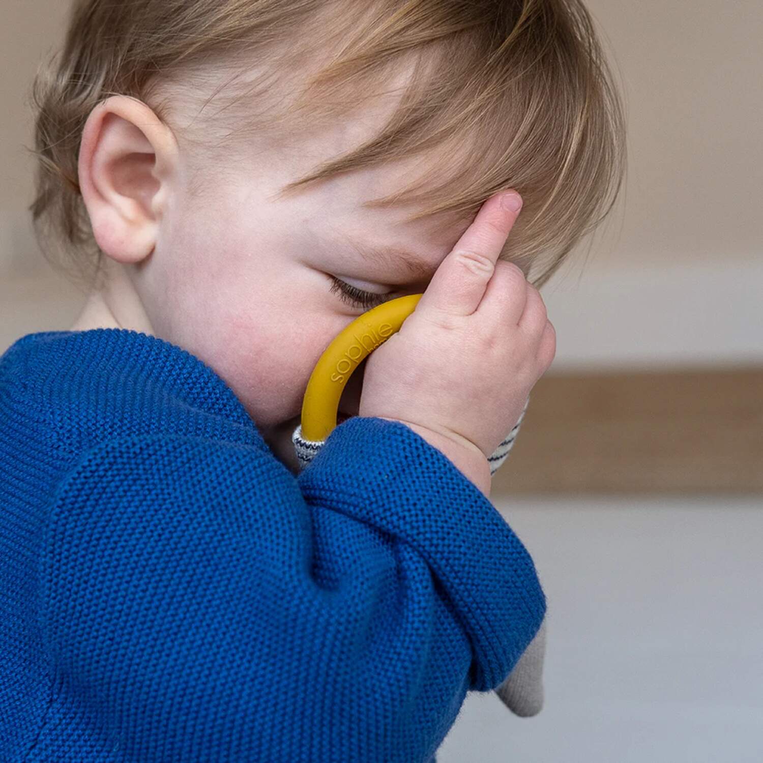 TEETHING RATTLE ZEBRA